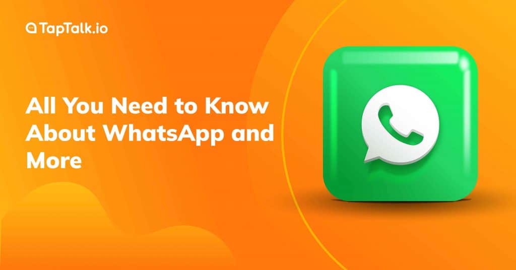 All You Need to Know About WhatsApp and More